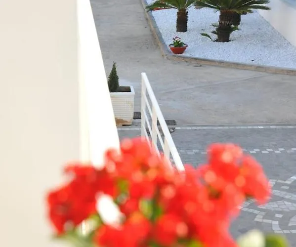 住宿加早餐酒店 Le Due Rose 3*